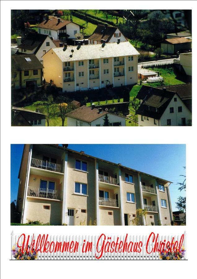 Ferienwohnung Christel Hirschhorn-Neckar Exterior foto